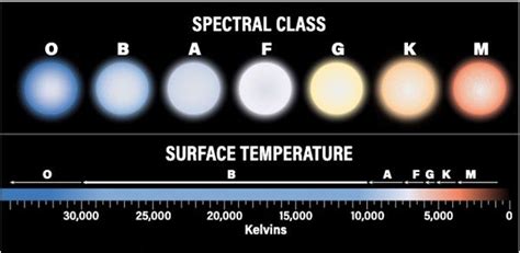 Colors, Temperatures, and Spectral Types of Stars.